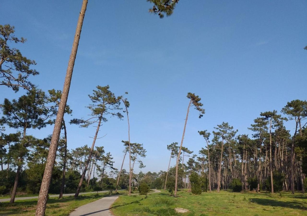 Greenside Of Sea Corujeira Exteriér fotografie